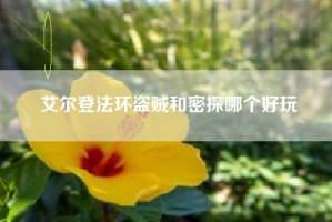 艾尔登法环盗贼和密探哪个好玩