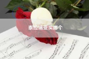 泰拉瑞亚买哪个