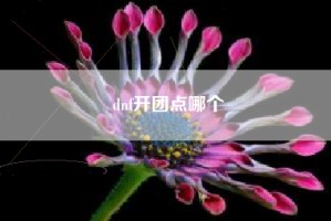 dnf开团点哪个