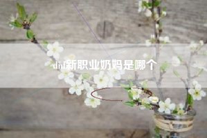 dnf新职业奶妈是哪个