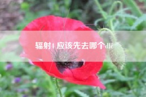 辐射4 应该先去哪个dlc