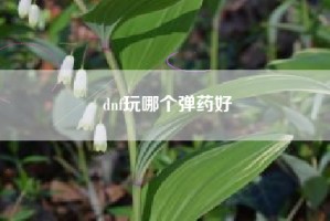 dnf玩哪个弹药好