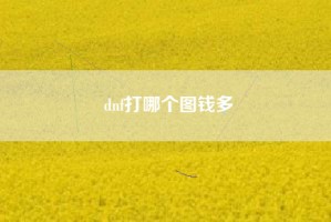 dnf打哪个图钱多