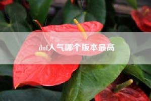 dnf人气哪个版本最高