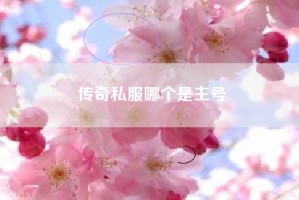 传奇私服哪个是主号