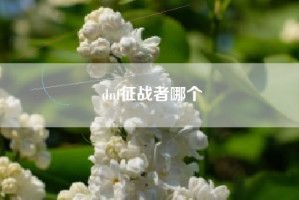 dnf征战者哪个