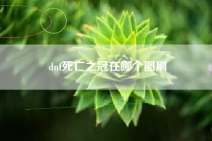 dnf死亡之冠在哪个图刷