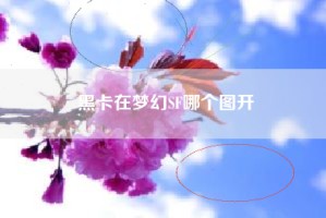 黑卡在梦幻SF哪个图开