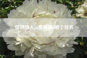 怪物猎人gu贯通珠3哪个任务
