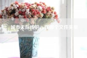 城市天际线的dlc在哪个文件夹里