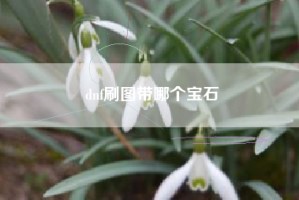 dnf刷图带哪个宝石