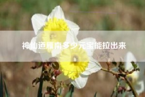 神仙道雁南多少元宝能拉出来