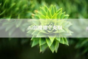dnf剑魔哪个克制