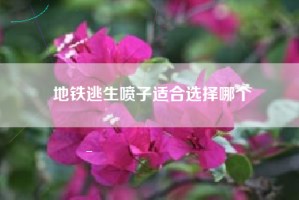 地铁逃生喷子适合选择哪个