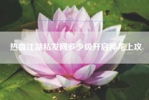 热血江湖私发网多少级开启神龙上攻