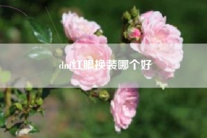 dnf红眼换装哪个好