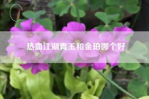 热血江湖青玉和金珀哪个好