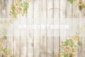 天龙八部SF哪个箭袋好用