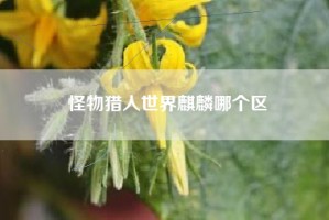 怪物猎人世界麒麟哪个区