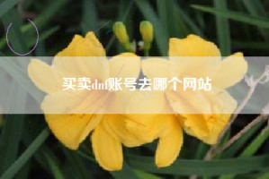 买卖dnf账号去哪个网站