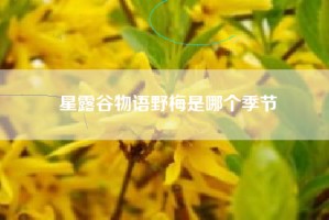星露谷物语野梅是哪个季节