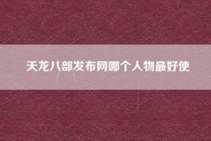 天龙八部发布网哪个人物最好使