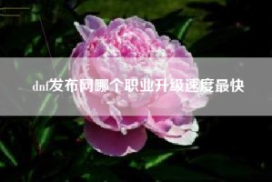 dnf发布网哪个职业升级速度最快
