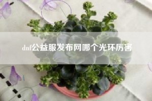 dnf公益服发布网哪个光环厉害