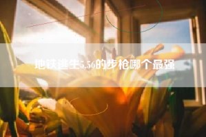 地铁逃生5.56的步枪哪个最强