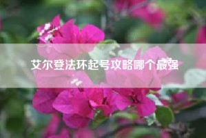 艾尔登法环起号攻略哪个最强