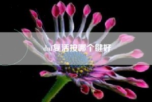 dnf复活按哪个键好