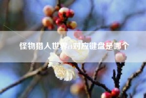 怪物猎人世界rt对应键盘是哪个