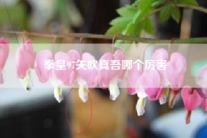 拳皇97矢吹真吾哪个厉害