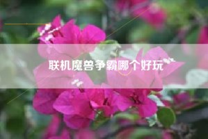 联机魔兽争霸哪个好玩