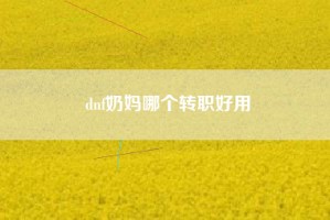 dnf奶妈哪个转职好用