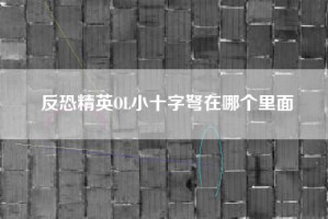 反恐精英OL小十字弩在哪个里面