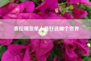 泰拉瑞亚单人最好选哪个世界