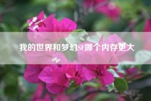 我的世界和梦幻SF哪个内存更大