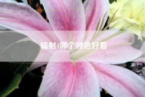 辐射4哪个颜色好看