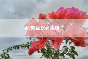 dnf男圣职者练哪个