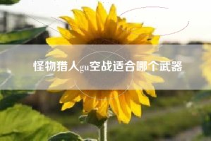 怪物猎人gu空战适合哪个武器