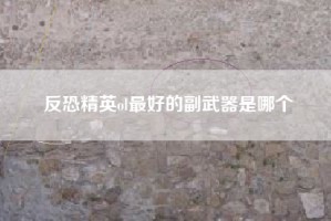 反恐精英ol最好的副武器是哪个