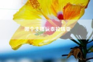 哪个主播玩泰拉瑞亚