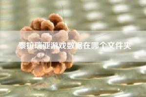 泰拉瑞亚游戏数据在哪个文件夹