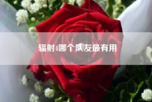 辐射4哪个队友最有用