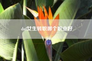 dnf女生转职哪个职业好