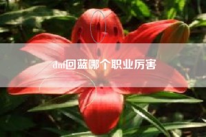 dnf回蓝哪个职业厉害