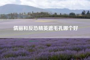 倩丽和反恐精英遮毛孔哪个好