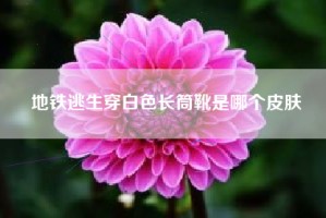 地铁逃生穿白色长筒靴是哪个皮肤