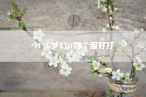 PUNG梦幻SF哪个服好打